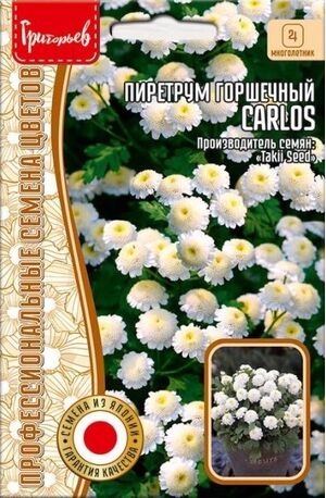 Пиретрум Carlos горшечный многолетник Григорьев