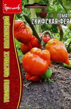 Томат Скифская Фея Григорьев