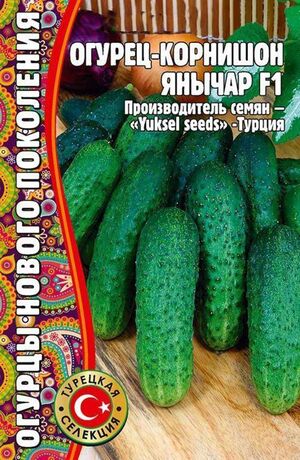 Огурец Янычар корнишон Григорьев