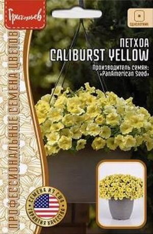 Петхоа Caliburst Yellow Григорьев