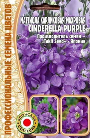 Маттиола Cinderella Purple карликовая махровая Григорьев