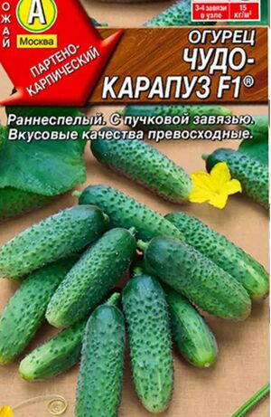 Огурец Чудо карапуз F1 Аэлита