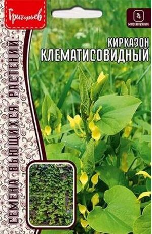 Кирказон Клематисовидный многолетник Григорьев
