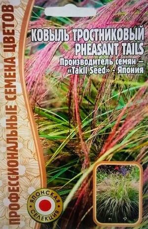 Ковыль Тростниковый Pheasant Tails Григорьев