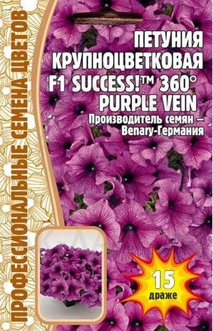 Петуния SUCCESS Purple Vein F1 Григорьев