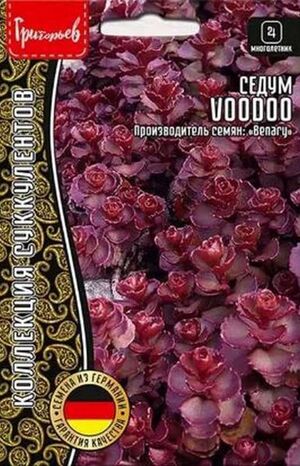 Седум Voodoo многолетник Григорьев