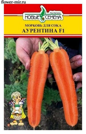 Морковь Аурентина F1   Новые Семена
