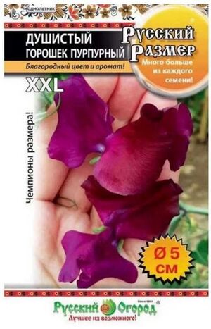 Душистый Горошек Русский Размер пурпурный Русский Огород