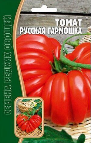 Томат Русская Гармошка Григорьев