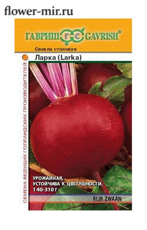 Свекла Ларка  (Голландия) Гавриш