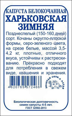 Капуста Харьковская зимняя белокочанная Золотая Сотка Алтая