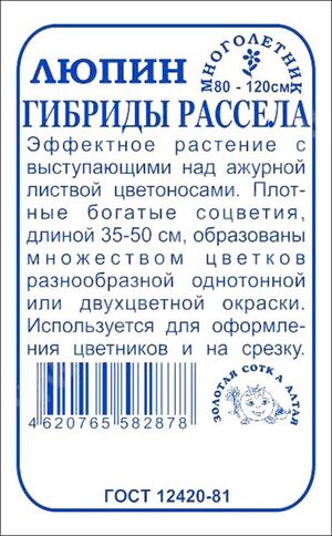 Люпин Гибриды Рассела  Злотая Сотка Алтая