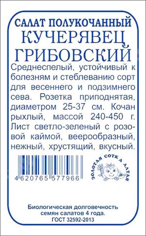 Салат Грибовский Кучерявец  Золотая Сотка Алтая