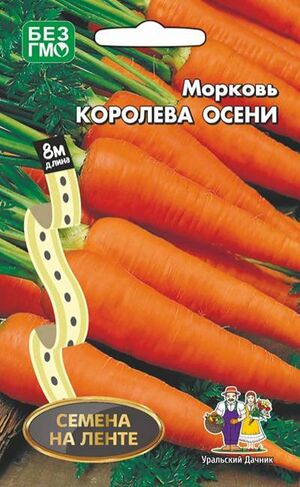 Морковь Королева Осени Уральский Дачник
