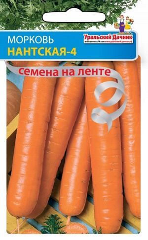 Морковь Нантская-4  Уральский Дачник