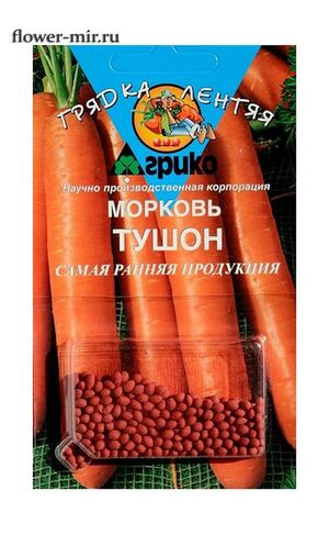 Морковь Тушон  Грядка Лентяя