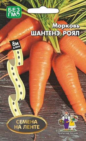 Морковь Шантанэ Роял  Уральский Дачник