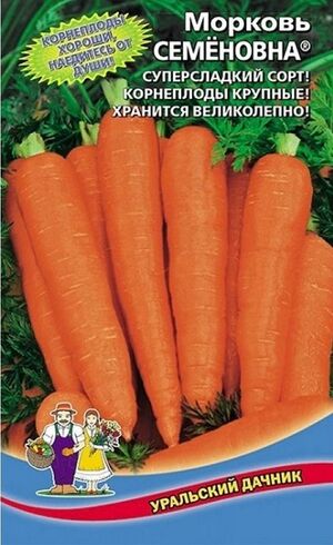 Морковь Семёновна Уральский Дачник