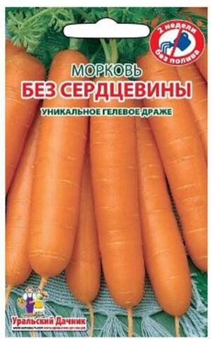 Морковь Без Сердцевины  Уральский Дачник