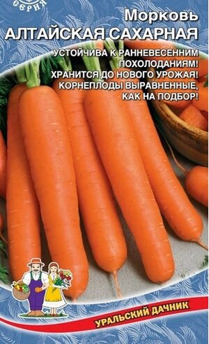 Морковь Алтайская Сахарная  Уральский Дачник