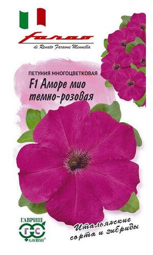 Петуния Аморе Мио Темно-Розовая F1 многоцветковая серия Фарао Гавриш