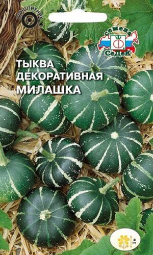 Тыква Милашка декоративная Седек