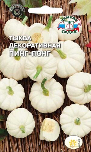 Тыква Пинг-понг декоративная Седек