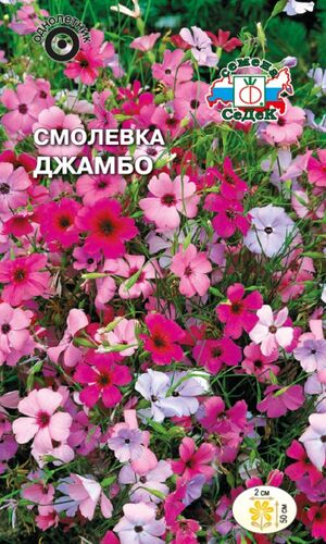 Смолевка Джамбо смесь однолетник Седек