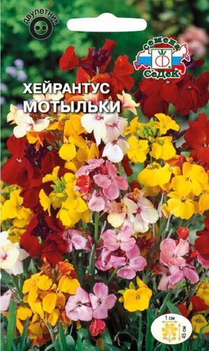 Хейрантус Мотыльки Лакфиоль смесь Седек