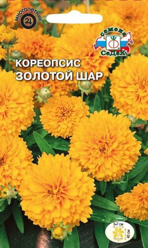 Кореопсис Золотой Шар Седек