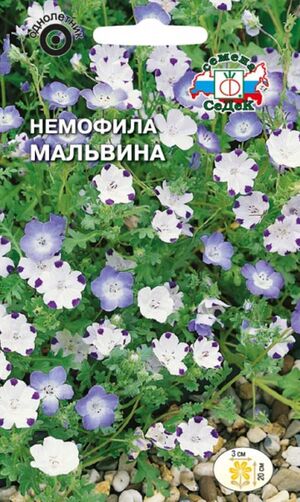 Немофила Мальвина смесь Седек