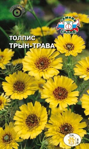 Толпис Трын-трава бородатый ярко-желтый Седек