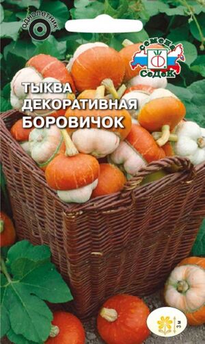 Тыква Боровичок декоративная Седек