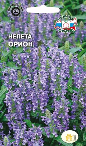 Непета (Котовник) Орион многолетник Седек