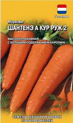 Морковь Шантенэ А Кур Руж 2 Голландия Гавриш