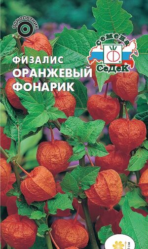 Физалис Оранжевый Фонарик однолетник Седек