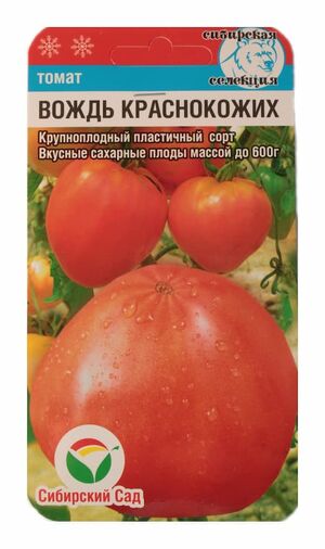 Томат Вождь Краснокожих (сахарный бизон) Сибирский Сад