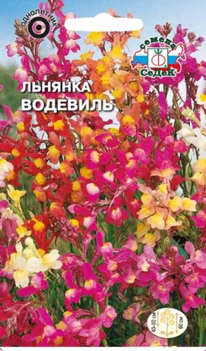 Льнянка Водевиль Седек