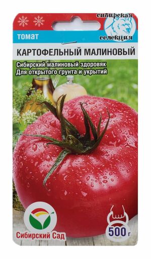 Томат Картофельный Малиновый Сибирский Сад