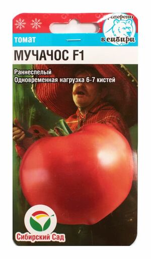 Томат Мучачос F1 Сибирский Сад