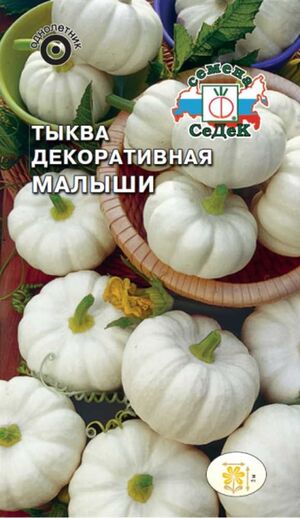 Тыква Малыши декоративная Седек