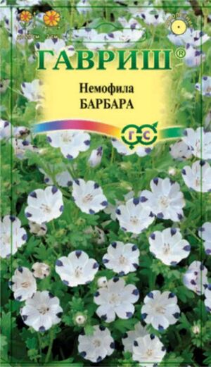 Немофила Барбара Пятнистая Гавриш