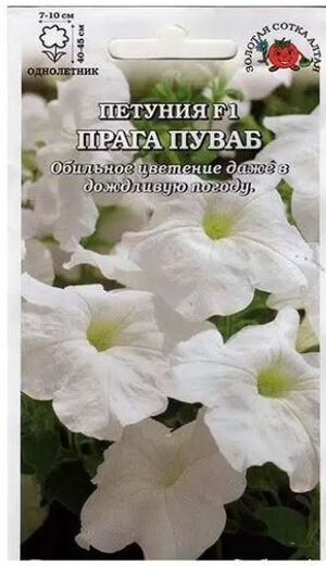 Петуния Прага Пуваб F1 Золотая Сотка Алтая