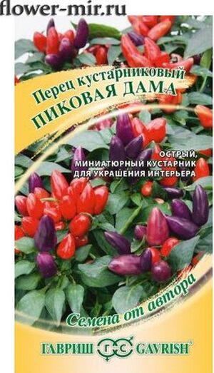 Перец Кустарниковый Пиковая Дама  серия От Автора Гавриш