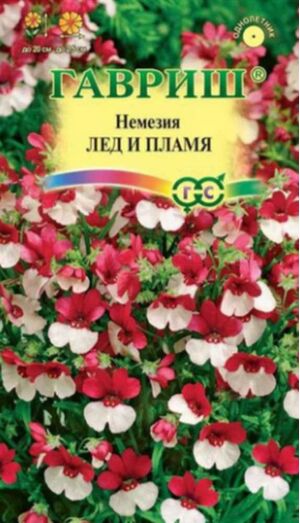 Немезия Лёд и Пламя Гавриш