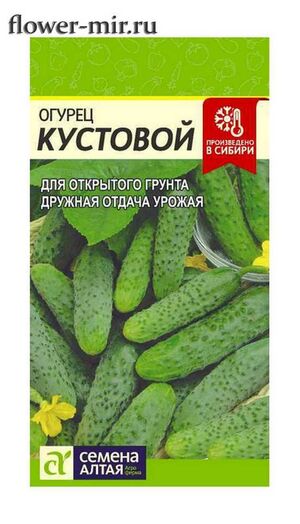 Огурец Кустовой Семена Алтая