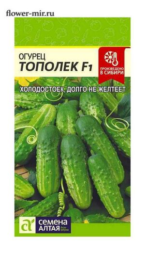 Огурец Тополек F1  Семена Алтая