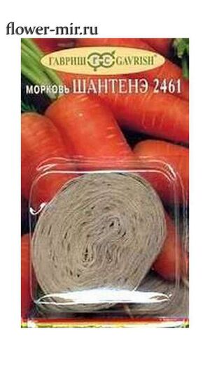 Морковь Шантане 2461 / Гавриш