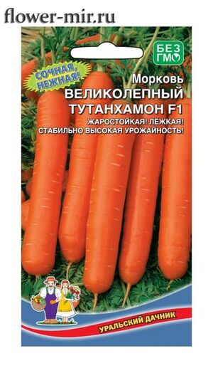Морковь Великолепный Тутанхамон F1  Уральский Дачник