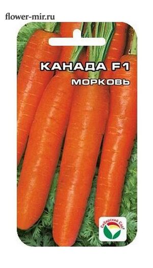 Морковь Канада F1 Сибирский Сад
